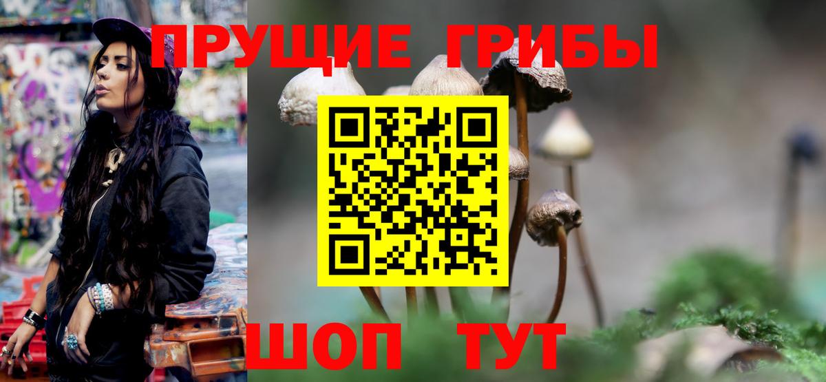 Галлюциногенные грибы прущие грибы  Вход с VPN  Сергиев Посад 